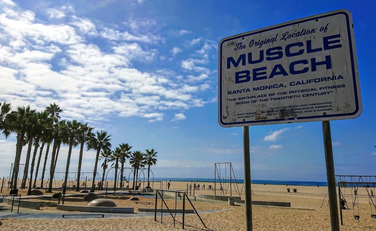 muscle-beach-new-wayfarer-michał-fic
