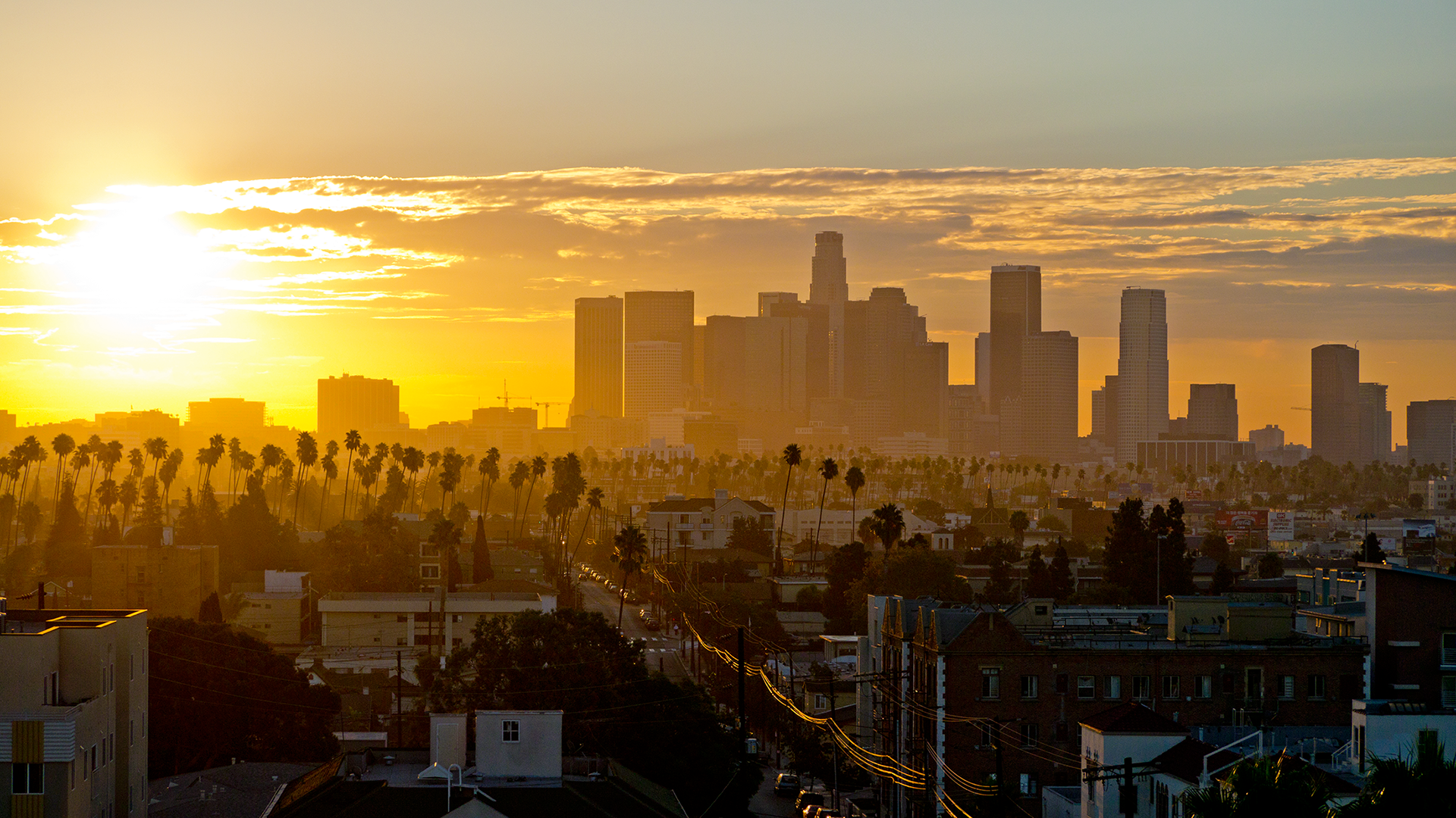 Los-Angeles-Michał-Fic-new-wayfarer