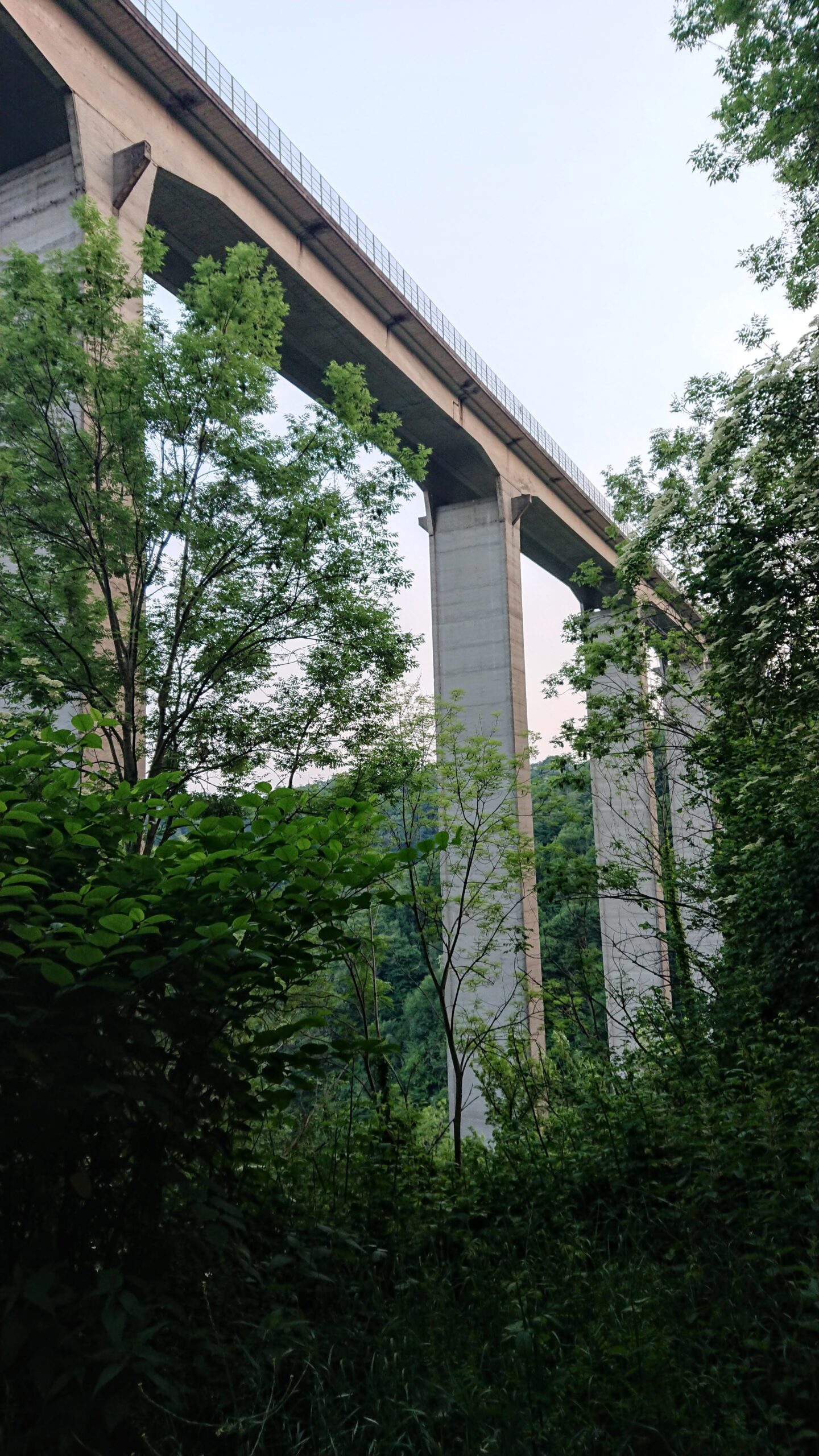 Bungee we Włoszech Ponte Colossus