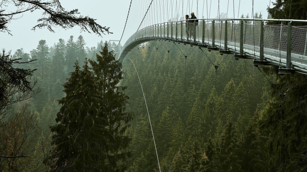Hängebrücke WildLine - most w Bad Wildbad, Niemcy